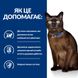Hill's Prescription Diet Feline m/d - Лікувальний сухий корм для котів при діабеті та ожирінні, 1,5 кг фото 4