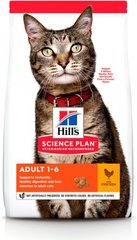 Hill's SP Adult Chicken - Сухой корм для взрослых кошек, с курицей, 15 кг