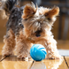 Cheerble Wicked Blue Ball Cyclone - Інтерактивний м'яч для собак, синій фото 2