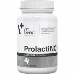 VetExpert ProlactiNo Large Breed - Пищевая добавка для самок крупных пород с симптомами ложной беременности, 40 таблеток