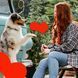 Жувальна паличка для собак Mavsy CHEESE STICK з сиром та куркумою, 95 г - 1 шт + 1 шт у подарунок фото 7