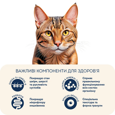 Home Food Cat Adult For active - Сухий корм для дорослих активних котів, з куркою та креветками, 400 г