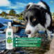 Средство очищающее для морды собак Menforsan Facial Cleaner For Dogs, 60 мл фото 4