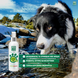 Засіб очищуючий для морди собак Menforsan Facial Cleaner For Dogs, 60 мл фото 5