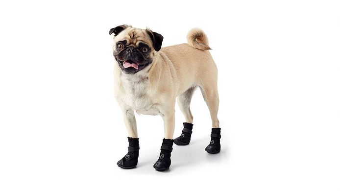 GF Pet Elastofit Boots Ботинки эластофит для собак чёрные