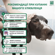 Шампунь для собак Menforsan Shampoo Oats с овсом, 5 л, срок годности до 10.01.29 фото 6