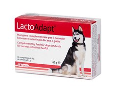 LactoAdapt - Дієтична добавка для нормалізації стану кишківника у собак та котів, 60 таблеток