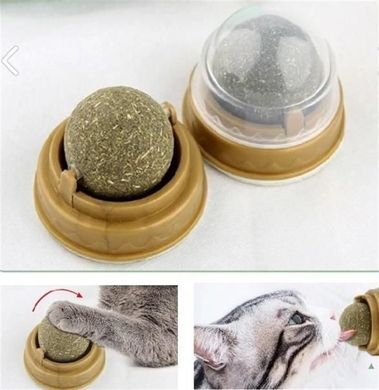Natural Catnip Cat Wall Stick-on Ball Toy - Шар для облизывания из кошачей мяты, 30 г