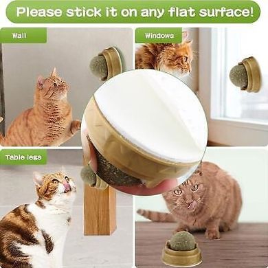 Natural Catnip Cat Wall Stick-on Ball Toy - Куля для облизування з котячої м'яти, 30 г