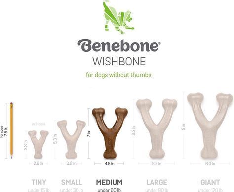 Benebone Wishbone peanut butter - Жувальна іграшка зі смаком арахісової пасти, M