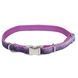 Coastal Pet Attire Sparkles - Ошейник для собак фиолетовый, 1 см * 20-30 см