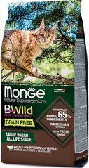 Monge Cat Bwild Grain Free Буйвол - Сухой корм для кошек больших пород с 2-х месяцев 10 кг