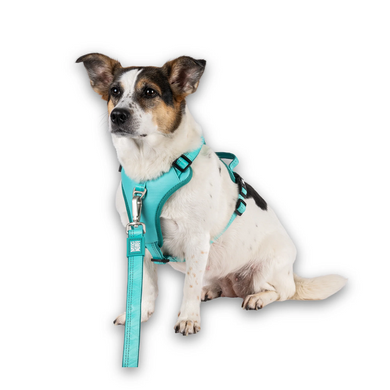 Шлейки для собак Max & Molly Smart ID Sport Harness Matrix 2.0 Turquoise бирюзового цвета, S