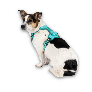 Шлейки для собак Max & Molly Smart ID Sport Harness Matrix 2.0 Turquoise бирюзового цвета, S