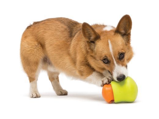 West Paw TOPPL TREAT TOY - Іграшка - головоломка для собак S (8 см)
