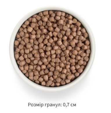 Grandorf FRESH TURKEY & SWEET POTATO ADULT DOG MINI - Сухой корм для взрослых собак малых пород с индейкой и бататом, 1 кг