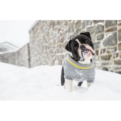 GF Pet Patrol Sweater Grey Светр для собак сірий