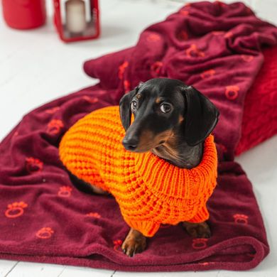 GF Pet Scout Sweater Grange Светр "Скаут" для собак помаранчевий