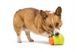 West Paw TOPPL TREAT TOY - Игрушка-головоломка для собак L (10 см) фото 4
