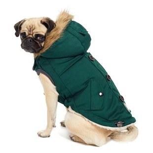 GF Pet Expedition Parka Green Парка для собак зелёная