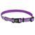 Coastal Lazer Brite Reflective Collar - Светоотражающий ошейник для собак с принтом Ромашка