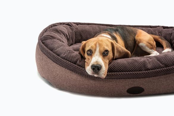 Овальний лежак Harley & Cho Donut Soft Touch Brown для собак коричневий, розмір L