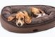 Овальний лежак Harley & Cho Donut Soft Touch Brown для собак коричневий, розмір L фото 4