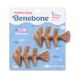 Benebone Puppy Pack Fishbone - Набір з двох жувальних іграшок для собак зі смаком лосося фото 1
