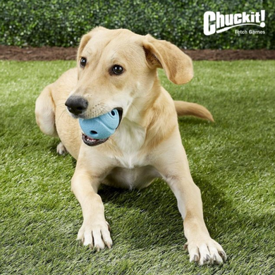 Chuckit The Whistler - Іграшка свистячий блакитний м'яч з отворами для собак - M