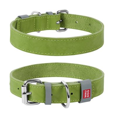 Collar WAUDOG Classic кожаный ошейник для собак, зеленый