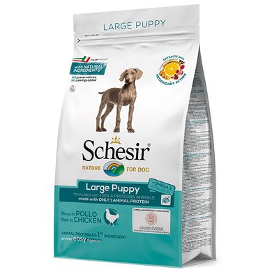 Schesir Dog Large Puppy - Сухой монопротеиновый корм для щенков крупных пород, курица, 3 кг