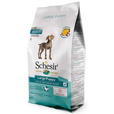 Schesir Dog Large Puppy - Сухий монопротеїновий корм для цуценят великих порід, курка, 12 кг