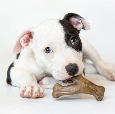 Benebone Puppy 2-pack Dental Chew/Wishbone Bacon - Набір з двох жувальних іграшок для собак зі смаком бекону