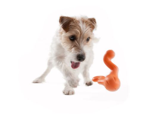 West Paw Tizzy Dog Toy - Игрушка з 2-мя ножками для собак S (11 см)