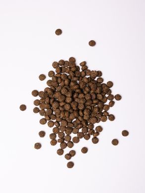 Savory Medium Breed rich in Fresh Turkey & Lamb - Сухий корм для собак середніх порід з індичкою та ягням 12 кг