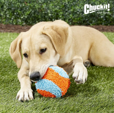 Chuckit Indoor Ball - Плюшевий м'яч для гри в приміщенні для собак 12 см