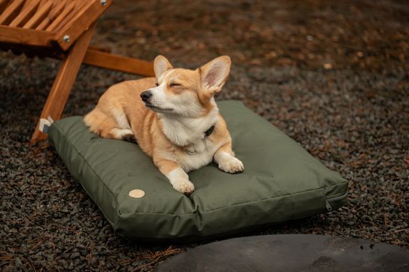 Подушка для кошек и собак Harley & Cho Simple Olive оливкового цвета водоотталкивающая, размер S 60х50 см