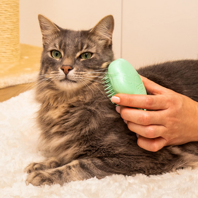 Pet Teezer Cat Grooming Brush - Щетка светло-зеленая для вычесывания шерсти кота
