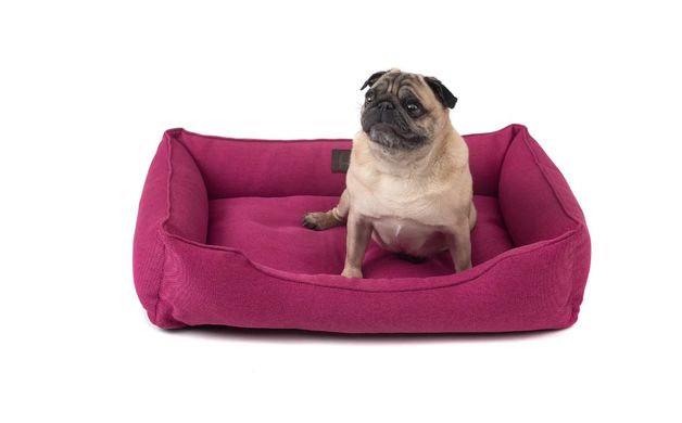 Harley & Cho Dreamer Berry - Лежак рожевого кольору з бортами для собак та котів S