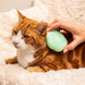 Pet Teezer Cat Grooming Brush - Щетка светло-зеленая для вычесывания шерсти кота фото 3