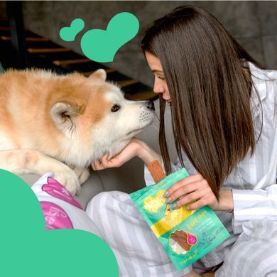 Лакомство диетическое для собак с чувствительным пищеварением Mavsy RABBIT chips из мяса кролика, 100 г