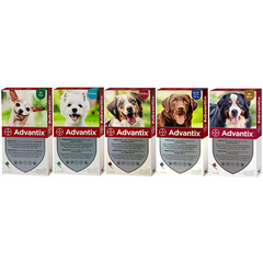Bayer Advantix (Адвантікс) - Краплі на холку від бліх і кліщів для собак, 1 піпетка