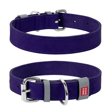 Collar WAUDOG Classic кожаный ошейник для собак, фиолетовый
