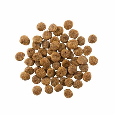 GO! Sensitivities Limited Ingredient Salmon Recipe Dog Formula - Гоу! Беззерновий сухий корм для цуценят та дорослих собак з лососем, 1,6 кг
