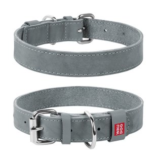 Collar WAUDOG Classic шкіряний нашийник для собак, сірий