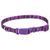 Coastal Pet Attire Styles - Ошейник для собак Пурпурный, 1 см * 12-30 см