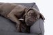 Лежак для собак Harley & Cho Sofa Graphite графітового кольору з підсиленою поверхнею та бортами, розмір L фото 5