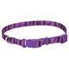 Coastal Pet Attire Styles - Ошейник для собак Пурпурный, 1 см * 12-30 см