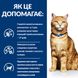 Hill's Prescription Diet Feline c/d Multicare - Лікувальний сухий корм із захворюваннями сечовивідних шляхів, з куркою, 400 г фото 4
