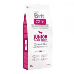 Brit Care Junior Large Breed Lamb and Rice - Сухой гипоаллергенный корм для щенков и юниоров крупных пород